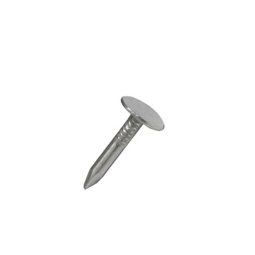 HK CLOUT NAIL 32MMX1KGX2