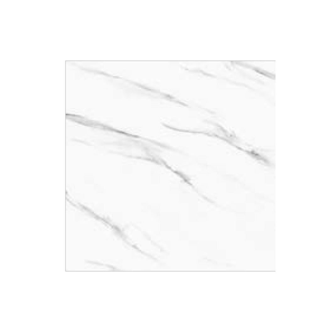 Elizabeth White (23142)