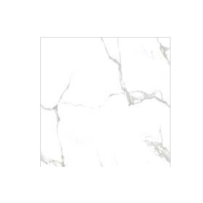 WHT / GREY (23171)